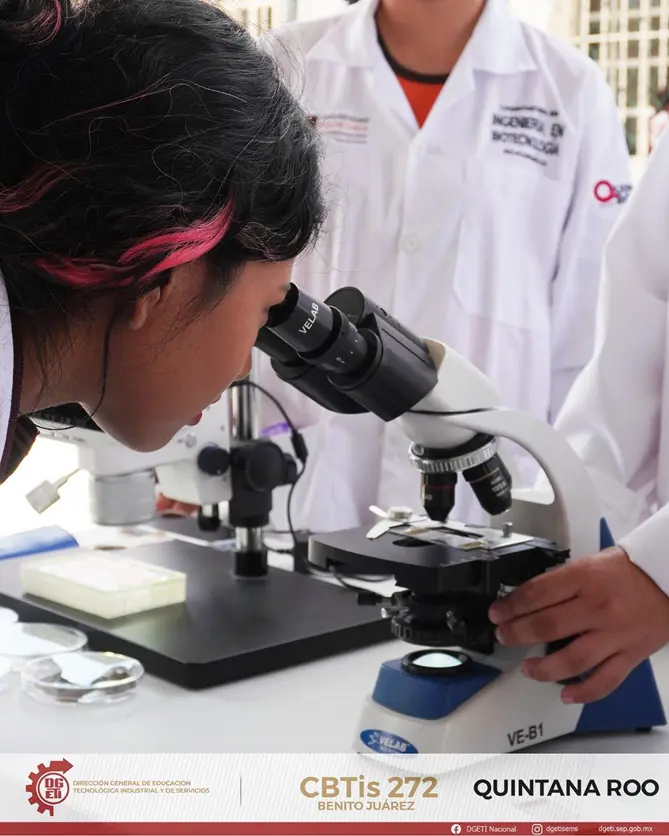 Actividades del club de Ciencias